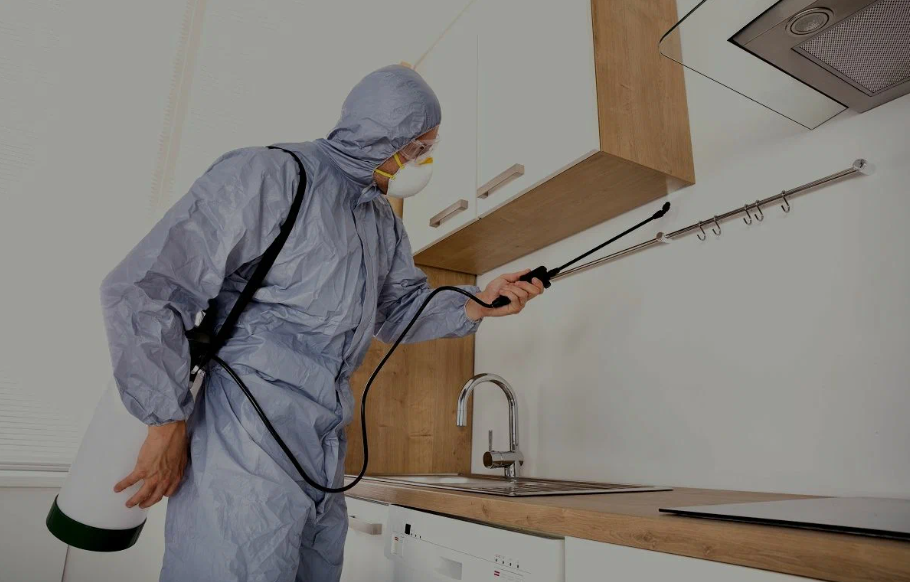 Pleasanton pest managment